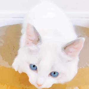 后进白嫩美女大白屁股
