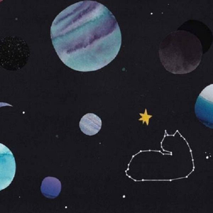 后进白嫩美女大白屁股
