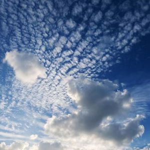 后进白嫩美女大白屁股
