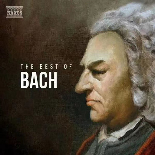 后进白嫩美女大白屁股
